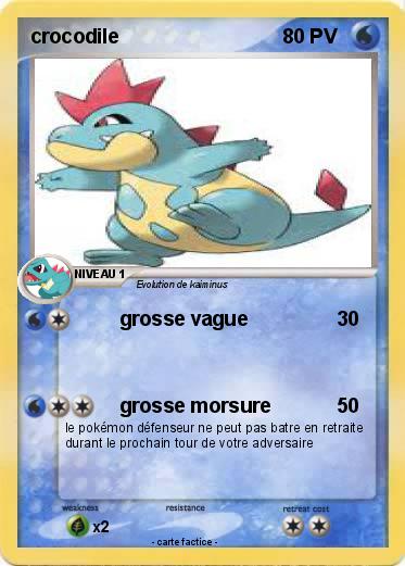 Pokemon crocodile