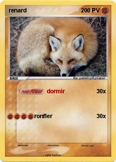 Pokemon renard