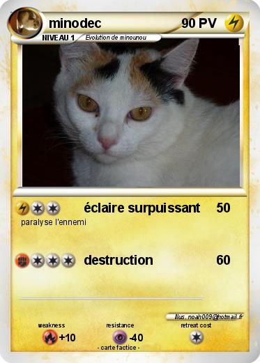 Pokemon minodec