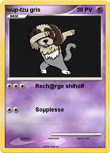 Pokemon loup-tzu gris