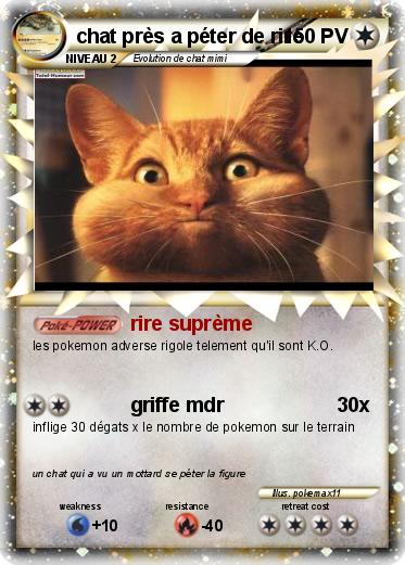 Pokemon chat près a péter de rire