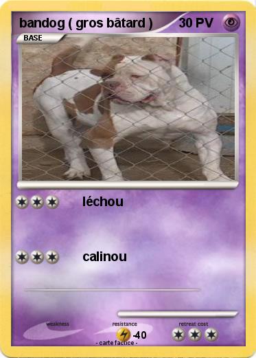 Pokemon bandog ( gros bâtard )