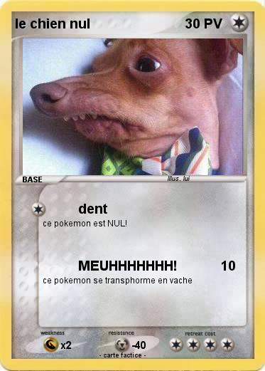 Pokemon le chien nul