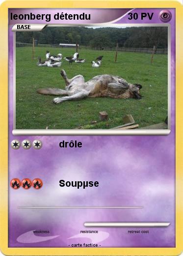 Pokemon leonberg détendu