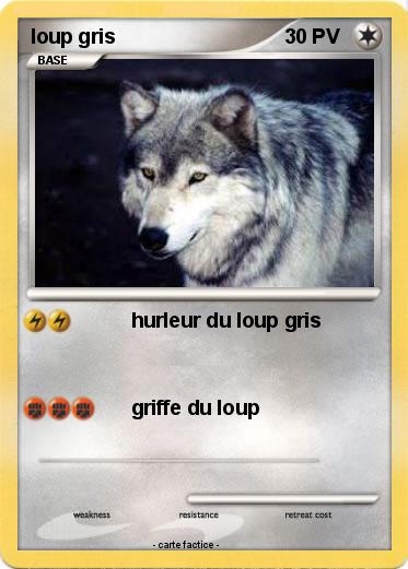 Pokemon loup gris