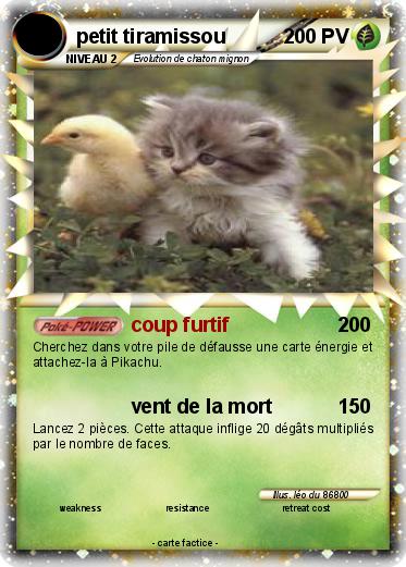 Pokemon petit tiramissou
