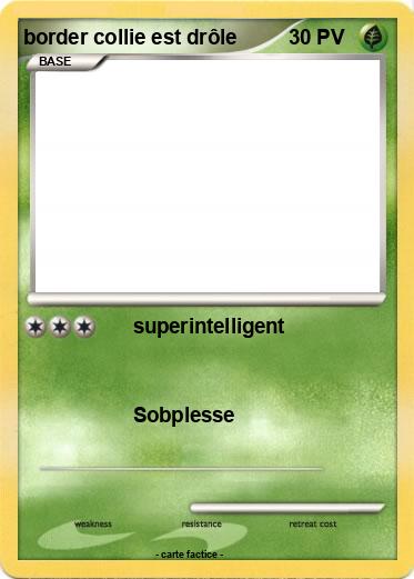 Pokemon border collie est drôle