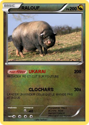 Pokemon RALOUF