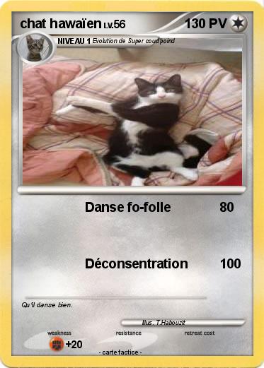 Pokemon chat hawaïen