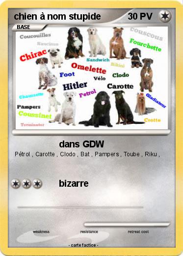 Pokemon chien à nom stupide