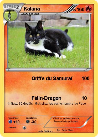 Pokemon Katana