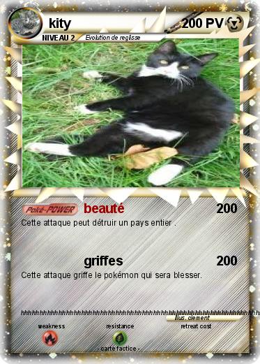 Pokemon kity