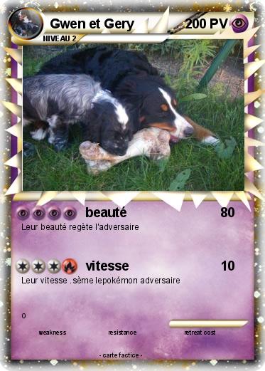 Pokemon Gwen et Gery