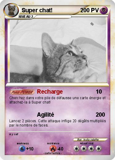 Pokemon Super chat!