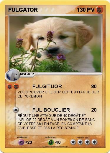 Pokemon FULGATOR