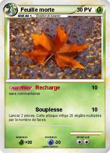 Pokemon Feuille morte
