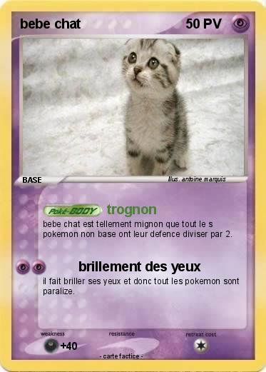 Pokemon bebe chat