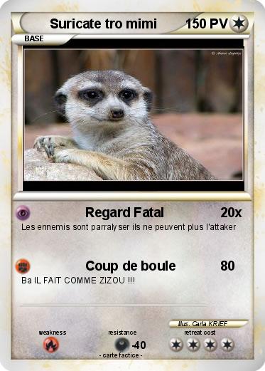 Pokemon Suricate tro mimi