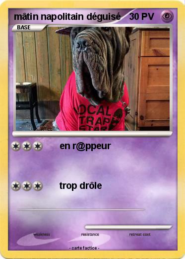 Pokemon mâtin napolitain déguisé