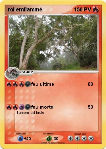 Pokemon roi emflammé