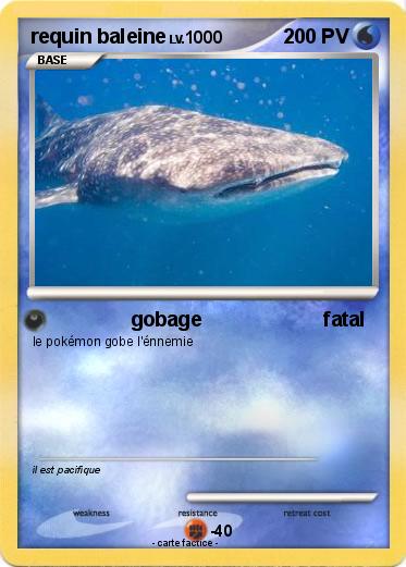 Pokemon requin baleine