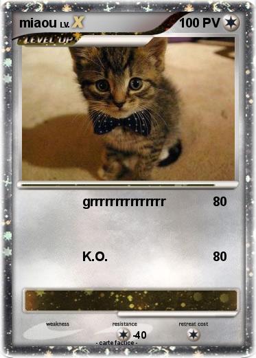 Pokemon miaou