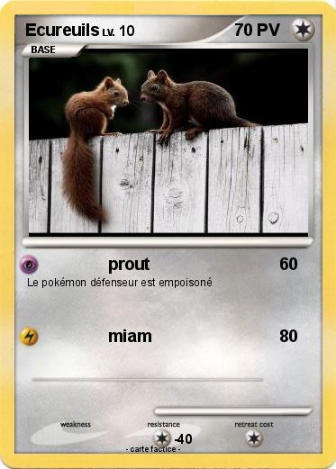 Pokemon Ecureuils