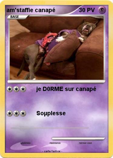 Pokemon am'staffie canapé