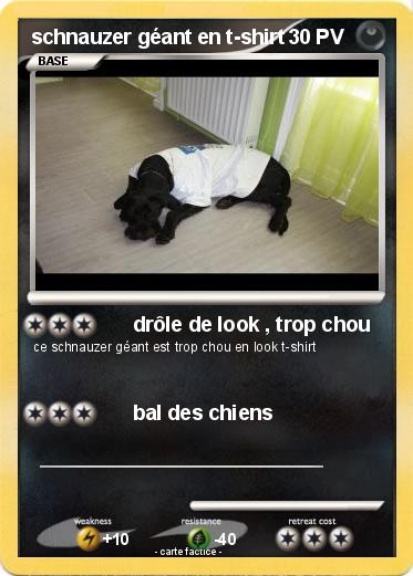Pokemon schnauzer géant en t-shirt