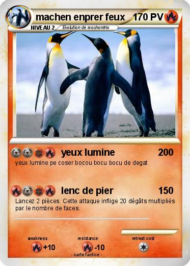 Pokemon machen enprer feux