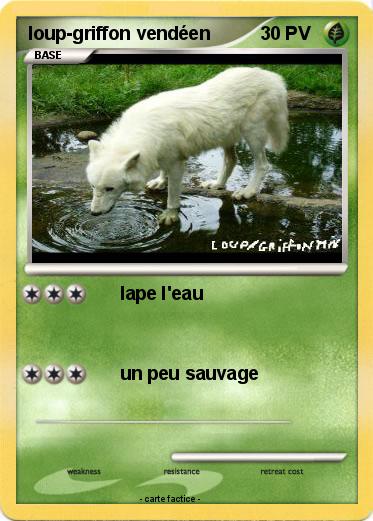 Pokemon loup-griffon vendéen