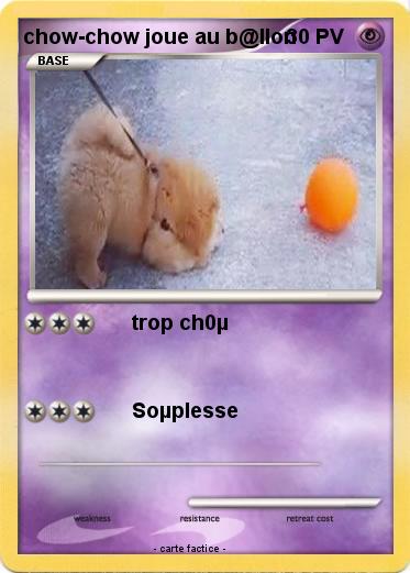 Pokemon chow-chow joue au b@llon