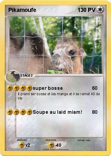 Pokemon Pikamoufe 