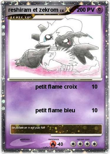 Pokemon reshiram et zekrom