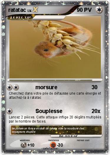 Pokemon ratatac