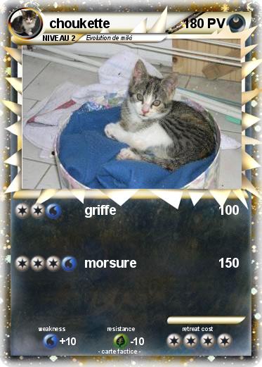 Pokemon choukette