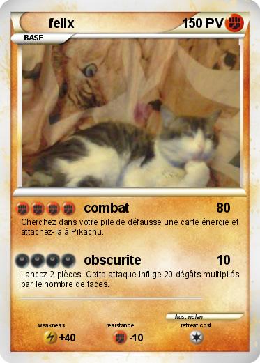 Pokemon felix