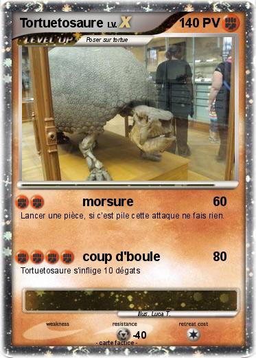 Pokemon Tortuetosaure