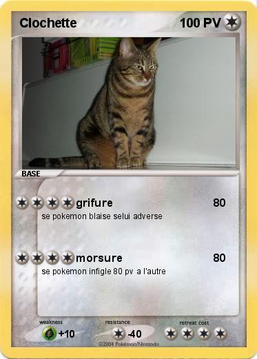 Pokemon Clochette