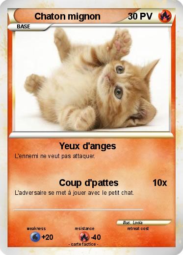 Pokemon Chaton mignon