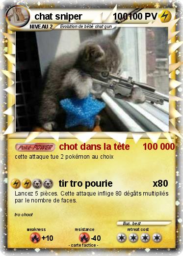Pokemon chat sniper            100