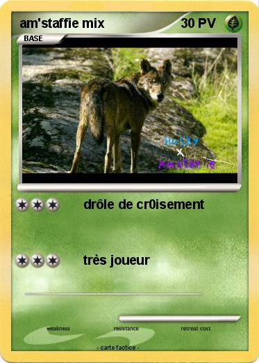 Pokemon am'staffie mix