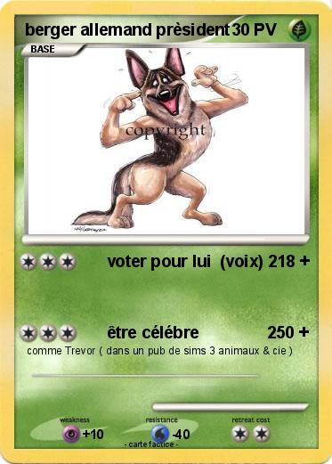 Pokemon berger allemand prèsident