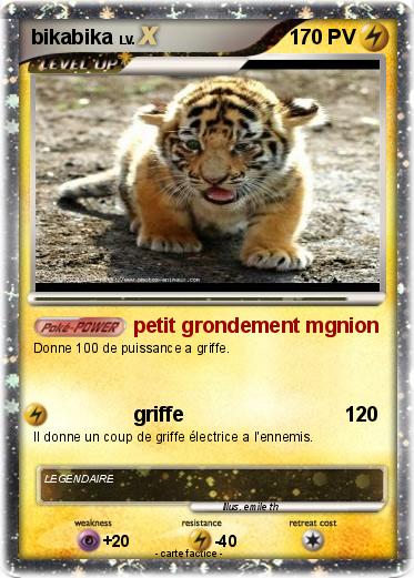 Pokemon bikabika