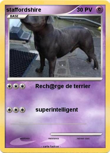 Pokemon staffordshire