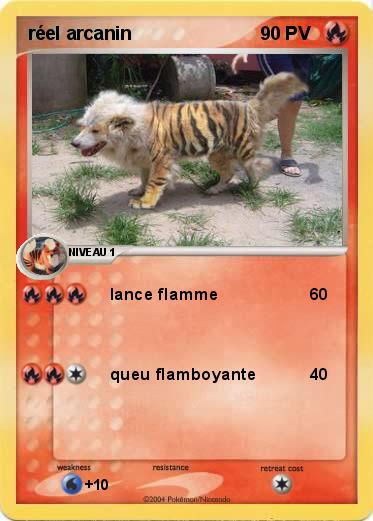 Pokemon réel arcanin