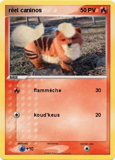 Pokemon réel caninos