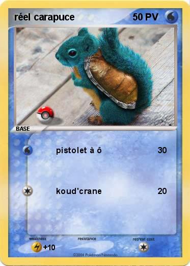Pokemon réel carapuce