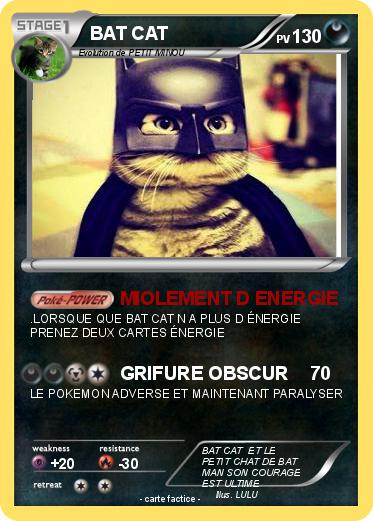Pokemon BAT CAT