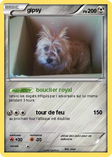 Pokemon gipsy